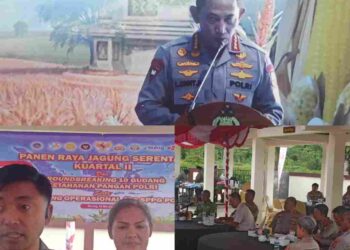 Dukung Ketahanan Pangan, Polda Papua Barat Daya Targetkan Panen Jagung Hingga 1 Ton
