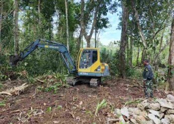 Program Tanam Kakao: Satgas TMMD Ke-128 Kodim 1801 Manokwari Buka Lahan 2 Hektar