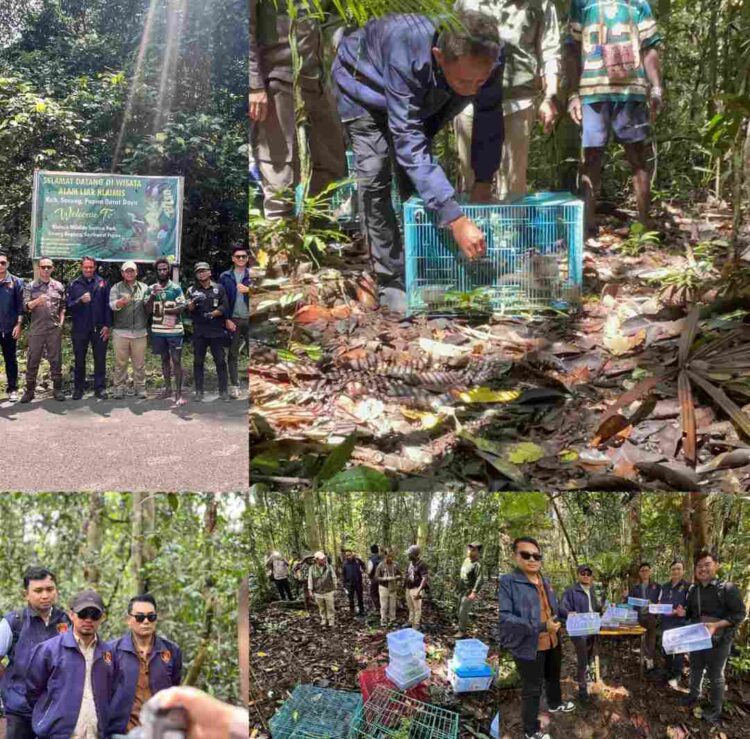 Krimsus Polda PBD Selamatkan dan Kembalikan 17 Satwa Dilindungi ke Habitatnya