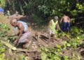 Bersama Warga, Satgas TMMD Ke-128 Kodim 1801/Manokwari Bersihkan Lahan 2 Hektare Tanam Kakao