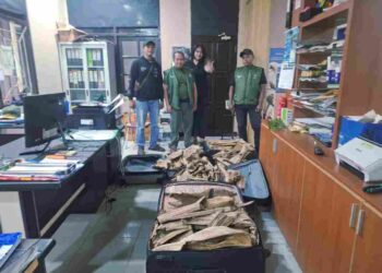 Sinergitas TNI AL dan BBKSDA Papua Barat Daya Gagalkan Penyelundupan Kayu Gaharu