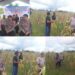 Dukung Ketapang: Polres Sorong Selatan Panen Ratusan Kilo Jagung Bersama Warga Monmok