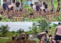Satgas TMMD Ke-128 Kodim 1801/Manokwari Gotong Royong Bersihkan Pekarangan RTLH