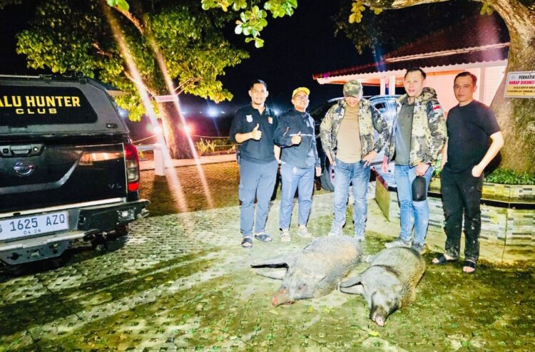 Babi Hutan Bikin Resah dan Gagal Panen, Bamsoet dan Ketum Perbakin Banten Turun Berburu