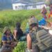 Satgas Yonif 2 Marinir Borong Hasil Tani Warga Komopa Papua: Pererat Hubungan Dengan Warga