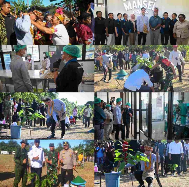 Perkuat Potensi Perkebunan Papua Barat, Wapres Tanam Bibit Kakao di Manokwari Selatan