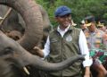 Presiden Prabowo Terbitkan Inpres Nomor 8 Tahun 2026, Tentang Penyelamatan Populasi dan Habitat Gajah Sumatera & Gajah Kalimantan