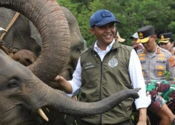 Presiden Prabowo Terbitkan Inpres Nomor 8 Tahun 2026, Tentang Penyelamatan Populasi dan Habitat Gajah Sumatera & Gajah Kalimantan