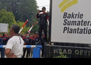 Aksi 18 Kelompok Tani di Asahan Berujung Ricuh, Massa Klaim Luka dan Dua Mobil Pecah Kaca