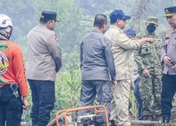 Jalankan Perintah Presiden, Kemenhut Bekukan Izin 6 Perusahaan Terkait Karhutla di Kalimantan