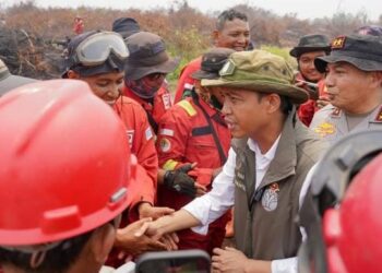Karhutla Riau: Menhut Raja Antoni Pastikan Api Dipadamkan, Dampak Sosial dan Kesehatan Warga Ditangani