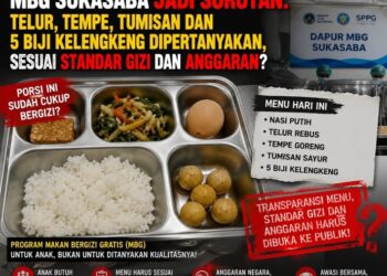 MBG SUKASABA JADI SOROTAN: TELUR, TEMPE, TUMISAN DAN 5 BIJI KELENGKENG DIPERTANYAKAN, SESUAI STANDAR GIZI DAN ANGGARAN?
