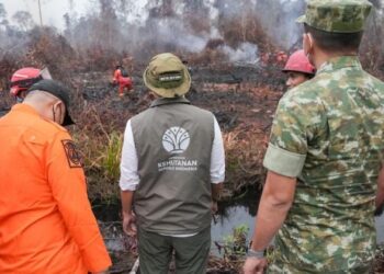 Karhutla Disikat! Menhut Raja Antoni Segel Lokasi di Kalbar, Alat Berat Disita