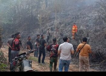 Polda Jambi Tangani Karhutla Seluas 5 Hektare di Areal PT Jebus Maju Merangin