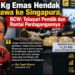 11,31 Kg Emas Nyaris Dibawa ke Singapura, BCW Desak Usut Pemilik dan Asal Barang